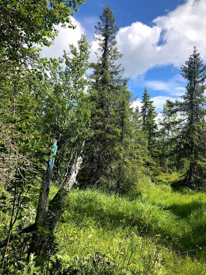 Hos Blåfjelldal, Bagn i Valdres Bed & Breakfast Eksteriør bilde